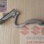 Петля капота правая  suzuki SX4, 57410-79J00 - Петля капота правая  suzuki SX4, 57410-79J00